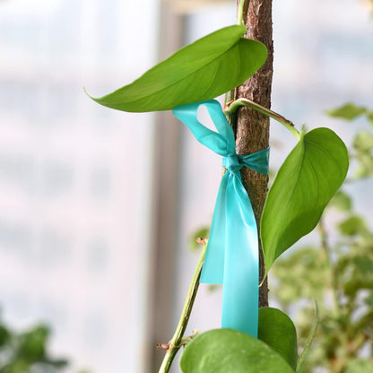 PVC Garden Stretch Tie Tape 61m