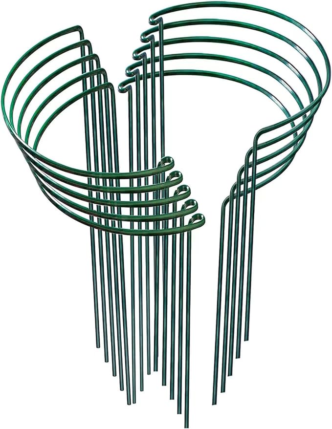 Heavy Duty Plant Support Ring