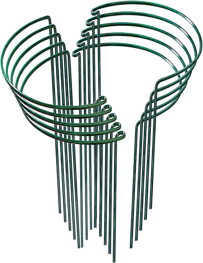 Heavy Duty Plant Support Ring
